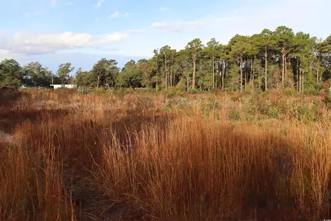 7765 Ocean Hwy, Pawleys Island, SC 29585
