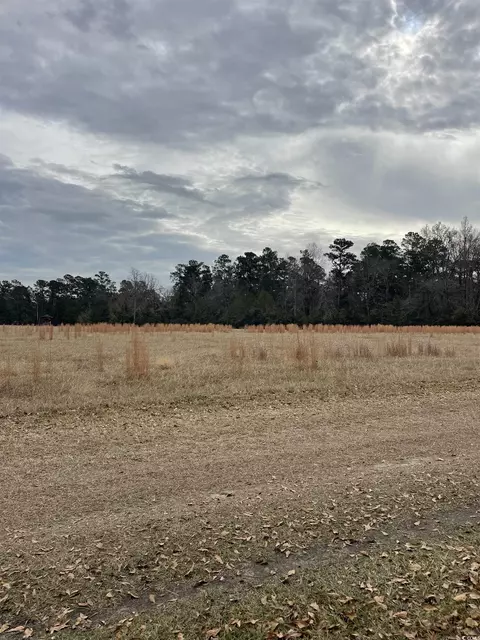 Tbd Gurley Rd., Loris, SC 29569 photo 5