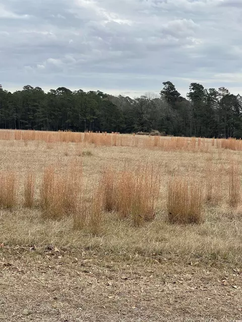 Tbd Gurley Rd., Loris, SC 29569 photo 3