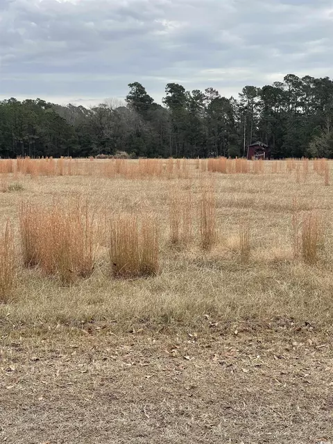 Tbd Gurley Rd., Loris, SC 29569