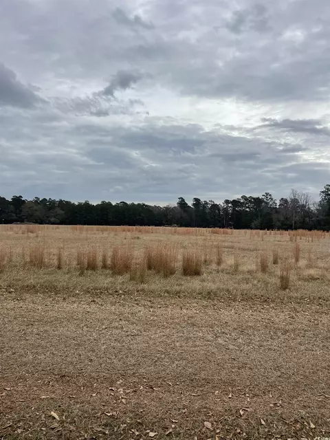 Tbd Gurley Rd., Loris, SC 29569 photo 4