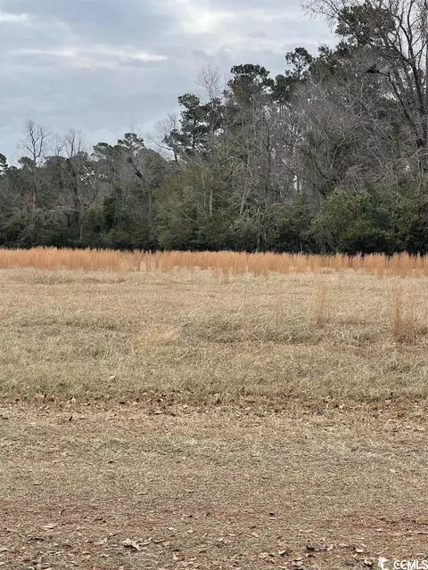 Tbd Gurley Rd., Loris, SC 29569 photo 3