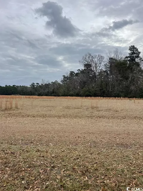 Tbd Gurley Rd., Loris, SC 29569 photo 6