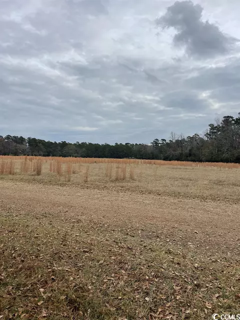 Tbd Gurley Rd., Loris, SC 29569