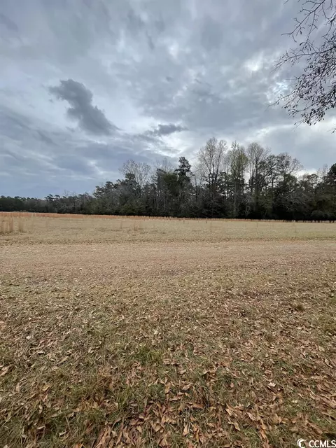 Tbd Gurley Rd., Loris, SC 29569 photo 4