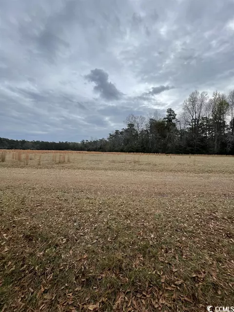 Tbd Gurley Rd., Loris, SC 29569 photo 5