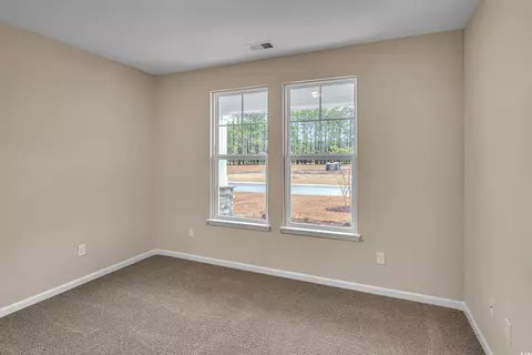 116 Little Cedar Dr, Loris, SC 29569 photo 19