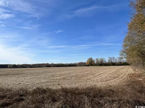 Tbd Mack Dr., Dillon, SC 29536 photo 6
