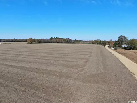 Tbd Mack Dr., Dillon, SC 29536 photo 13