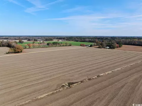 Tbd Mack Dr., Dillon, SC 29536 photo 11