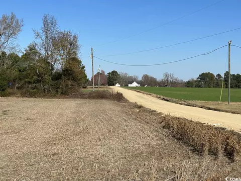 Tbd Mack Dr., Dillon, SC 29536 photo 5
