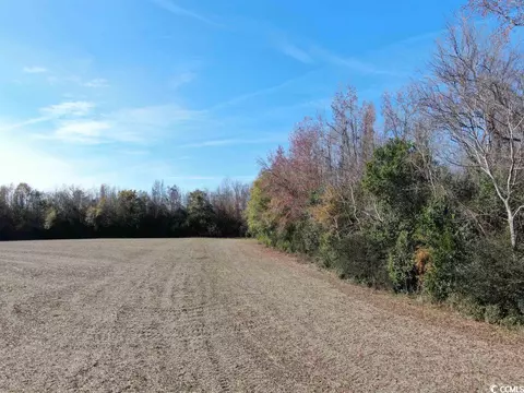 Tbd Mack Dr., Dillon, SC 29536 photo 16