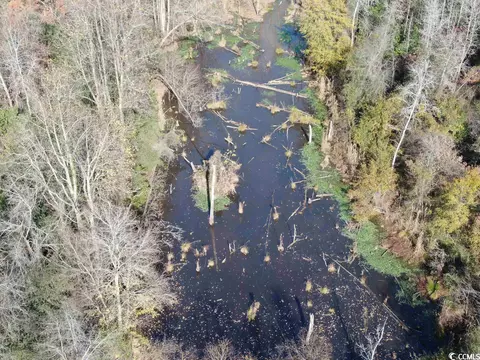 Tbd Mack Dr., Dillon, SC 29536 photo 8