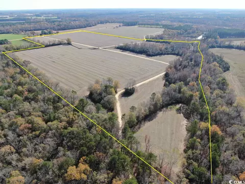 Tbd Mack Dr., Dillon, SC 29536 photo 3