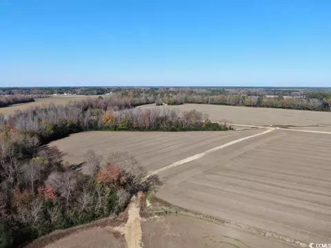 Tbd Mack Dr., Dillon, SC 29536 photo 10