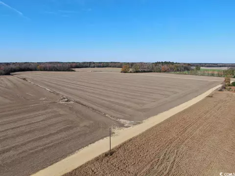 Tbd Mack Dr., Dillon, SC 29536 photo 12