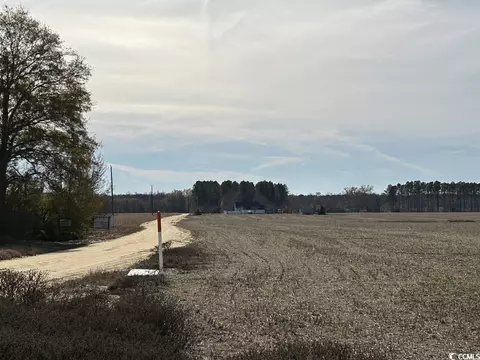 Tbd Mack Dr., Dillon, SC 29536 photo 17