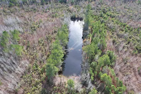 tbd Osbourne Rd, Scranton, SC 29591