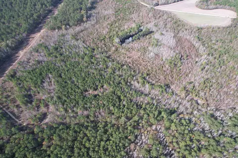 tbd Osbourne Rd, Scranton, SC 29591 photo 10