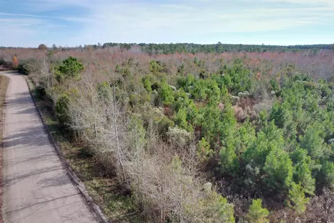 tbd Osbourne Rd, Scranton, SC 29591 photo 6