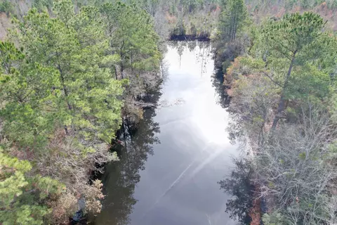 tbd Osbourne Rd, Scranton, SC 29591 photo 11