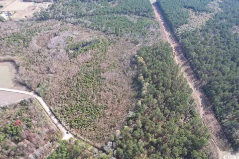 Tbd Osbourne Rd., Scranton, SC 29591 photo 3