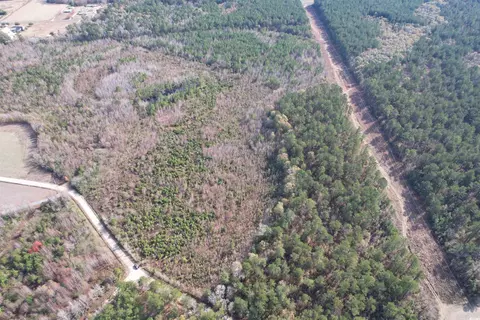 tbd Osbourne Rd, Scranton, SC 29591 photo 3