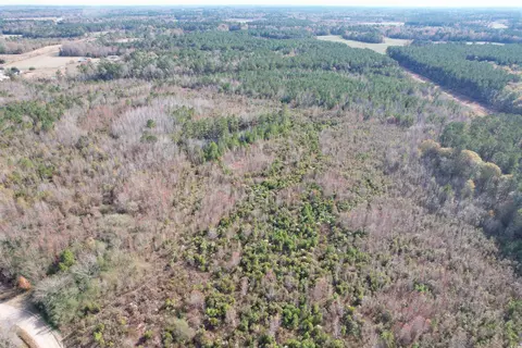 tbd Osbourne Rd, Scranton, SC 29591 photo 5