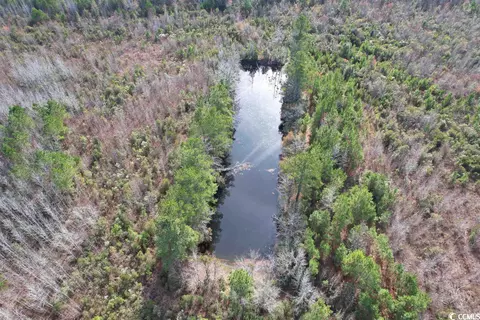 Tbd Osbourne Rd., Scranton, SC 29591