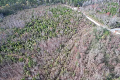 tbd Osbourne Rd, Scranton, SC 29591 photo 7