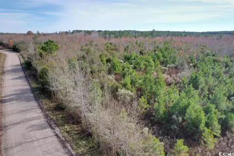 Tbd Osbourne Rd., Scranton, SC 29591 photo 6