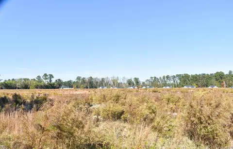 351 Camp Swamp Rd, Loris, SC 29569