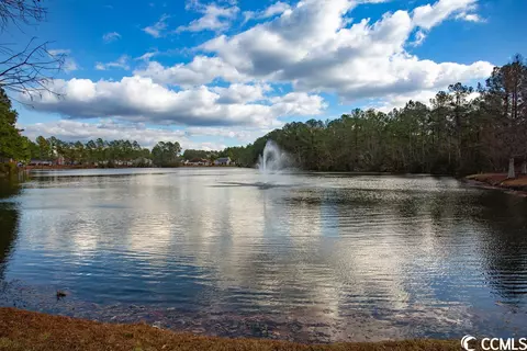 654 Timber Creek Dr, Loris, SC 29569 photo 35