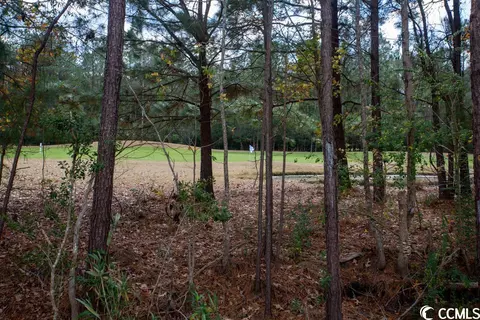 654 Timber Creek Dr, Loris, SC 29569 photo 32