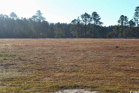 Highway 917, Nichols, SC 29581