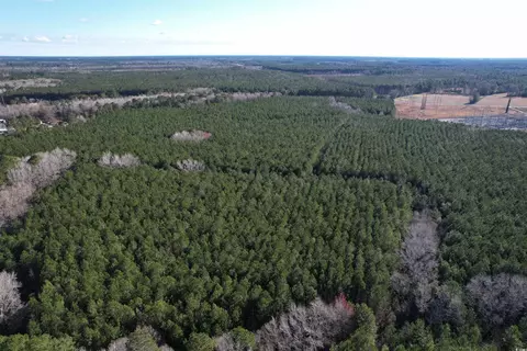 tbd Garrison Rd, Georgetown, SC 29440 photo 9