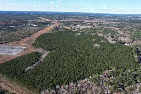 tbd Garrison Rd, Georgetown, SC 29440 photo 2