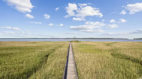 172 Commanders Island Dr, Georgetown, SC 29440 photo 8