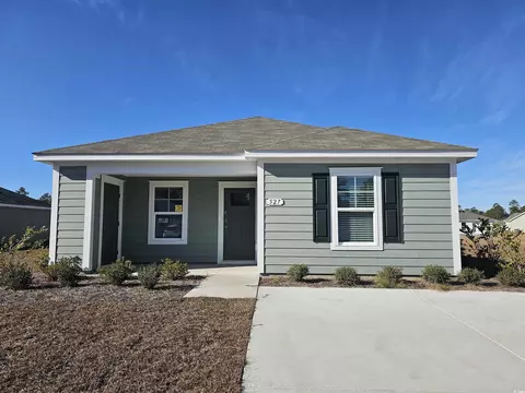 527 Gummy Bear Ct, Conway, SC 29526