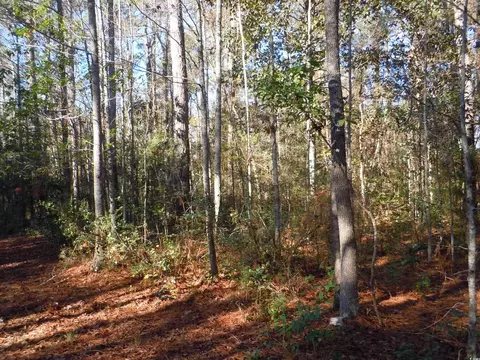 486 Woodrow St, Tabor City, NC 28463