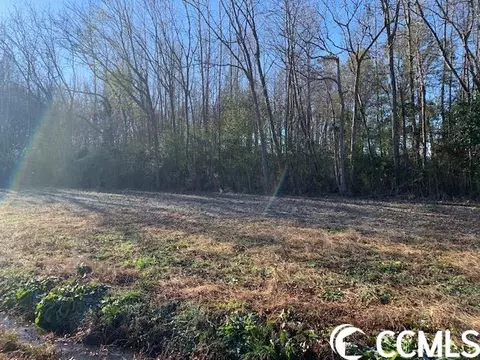 1 Tbd Sidney Cherry Grove Rd, Clarendon, NC 28432