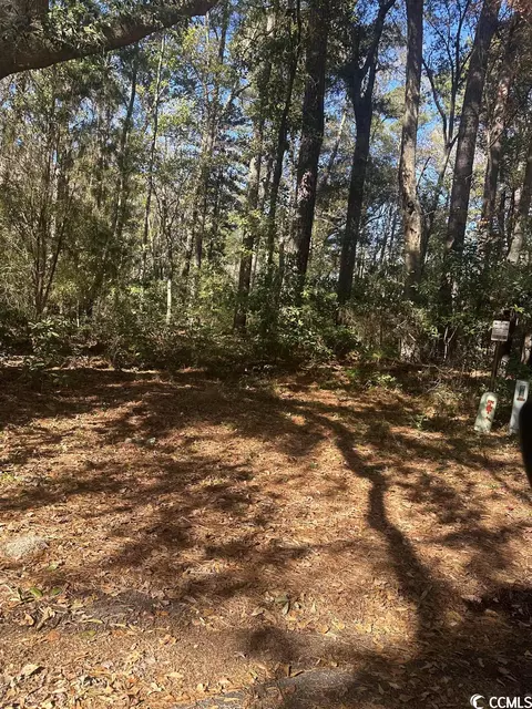 122 Governor Boone Lane, Georgetown, SC 29440