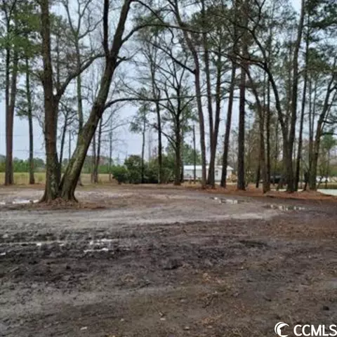 Tbd Appaloosa Dr., Myrtle Beach, SC 29588