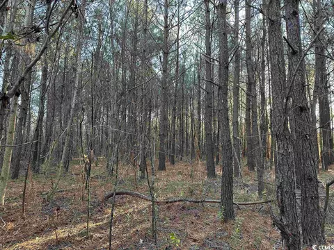Tbt Beaver Rd., Hemingway, SC 29554