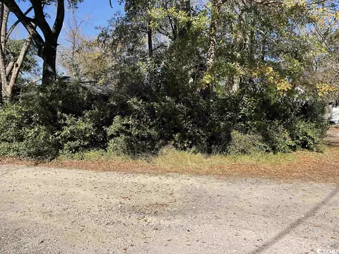 Tbd Fraser Alley, Georgetown, SC 29440