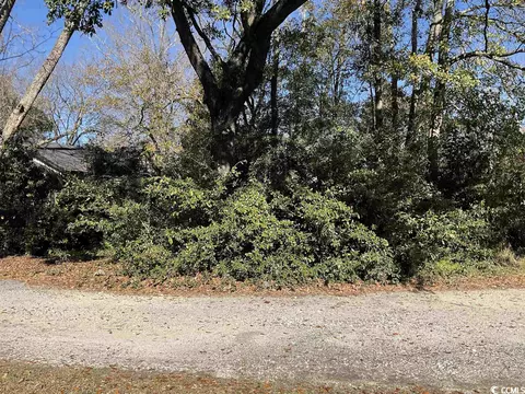 tbd Fraser Aly, Georgetown, SC 29440 photo 2
