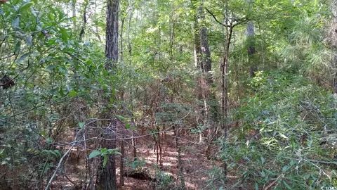 0 Sarah Dr, Georgetown, SC 29440