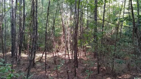 0 Sarah Dr, Georgetown, SC 29440 photo 4