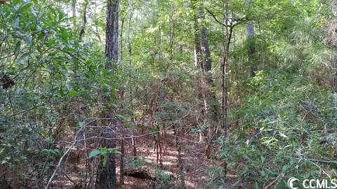 0 Sarah Dr, Georgetown, SC 29440