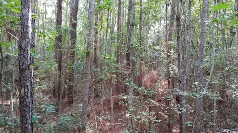 0 Sarah Dr, Georgetown, SC 29440 photo 3